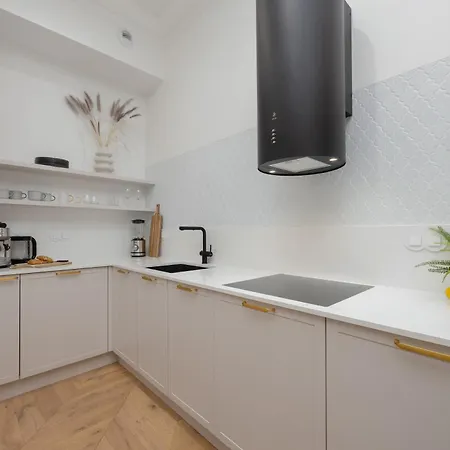 Spacious In The Center With Air Conditioned Living By Renters 华沙